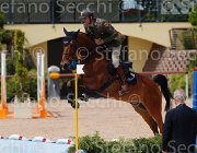 ZORZI TIKIDA CampITA2013- S5 0319 : Campionati Italiani 2013, Cattolica, Horse Riviera Resort, TIKIDA D'ECAUSSINNES, ZORZI ALBERTO, foto di Stefano Secchi ©