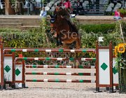 ZORZI TIKIDA CampITA2013- S5 0322 : Campionati Italiani 2013, Cattolica, Horse Riviera Resort, TIKIDA D'ECAUSSINNES, ZORZI ALBERTO, foto di Stefano Secchi ©