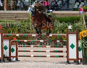 ZORZI TIKIDA CampITA2013- S5 0323 : Campionati Italiani 2013, Cattolica, Horse Riviera Resort, TIKIDA D'ECAUSSINNES, ZORZI ALBERTO, foto di Stefano Secchi ©