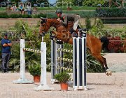 ZORZI TIKIDA CampITA2013- S5 0326 : Campionati Italiani 2013, Cattolica, Horse Riviera Resort, TIKIDA D'ECAUSSINNES, ZORZI ALBERTO, foto di Stefano Secchi ©