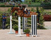 ZORZI TIKIDA CampITA2013- S5 0327 : Campionati Italiani 2013, Cattolica, Horse Riviera Resort, TIKIDA D'ECAUSSINNES, ZORZI ALBERTO, foto di Stefano Secchi ©