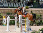 ZORZI TIKIDA CampITA2013- S5 0328 : Campionati Italiani 2013, Cattolica, Horse Riviera Resort, TIKIDA D'ECAUSSINNES, ZORZI ALBERTO, foto di Stefano Secchi ©