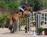 ZUVADELLI WALESTRO CampITA2013- S5 9799 : Campionati Italiani 2013, Cattolica, Horse Riviera Resort, WALESTRO VAN HET BLOEMENHOF, ZUVADELLI PAOLO, foto di Stefano Secchi ©