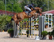 ZUVADELLI WALESTRO CampITA2013- S5 9800 : Campionati Italiani 2013, Cattolica, Horse Riviera Resort, WALESTRO VAN HET BLOEMENHOF, ZUVADELLI PAOLO, foto di Stefano Secchi ©