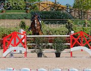 ZUVADELLI WALESTRO CampITA2013- S5 9801 : Campionati Italiani 2013, Cattolica, Horse Riviera Resort, WALESTRO VAN HET BLOEMENHOF, ZUVADELLI PAOLO, foto di Stefano Secchi ©