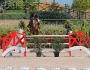 ZUVADELLI WALESTRO CampITA2013- S5 9802 : Campionati Italiani 2013, Cattolica, Horse Riviera Resort, WALESTRO VAN HET BLOEMENHOF, ZUVADELLI PAOLO, foto di Stefano Secchi ©