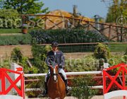 ZUVADELLI WALESTRO CampITA2013- S5 9803 : Campionati Italiani 2013, Cattolica, Horse Riviera Resort, WALESTRO VAN HET BLOEMENHOF, ZUVADELLI PAOLO, foto di Stefano Secchi ©