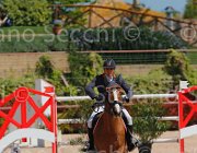 ZUVADELLI WALESTRO CampITA2013- S5 9804 : Campionati Italiani 2013, Cattolica, Horse Riviera Resort, WALESTRO VAN HET BLOEMENHOF, ZUVADELLI PAOLO, foto di Stefano Secchi ©