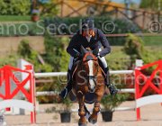 ZUVADELLI WALESTRO CampITA2013- S5 9808 : Campionati Italiani 2013, Cattolica, Horse Riviera Resort, WALESTRO VAN HET BLOEMENHOF, ZUVADELLI PAOLO, foto di Stefano Secchi ©