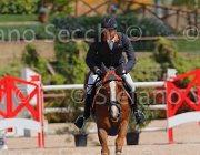 ZUVADELLI WALESTRO CampITA2013- S5 9809 : Campionati Italiani 2013, Cattolica, Horse Riviera Resort, WALESTRO VAN HET BLOEMENHOF, ZUVADELLI PAOLO, foto di Stefano Secchi ©