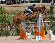 ZUVADELLI WALESTRO CampITA2013- S5 9812 : Campionati Italiani 2013, Cattolica, Horse Riviera Resort, WALESTRO VAN HET BLOEMENHOF, ZUVADELLI PAOLO, foto di Stefano Secchi ©