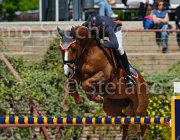 ZUVADELLI WALESTRO CampITA2013- S5 9813 : Campionati Italiani 2013, Cattolica, Horse Riviera Resort, WALESTRO VAN HET BLOEMENHOF, ZUVADELLI PAOLO, foto di Stefano Secchi ©