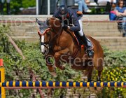 ZUVADELLI WALESTRO CampITA2013- S5 9814 : Campionati Italiani 2013, Cattolica, Horse Riviera Resort, WALESTRO VAN HET BLOEMENHOF, ZUVADELLI PAOLO, foto di Stefano Secchi ©
