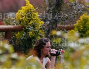  S5 1174 : Campionati Italiani 2013, Cattolica, Horse Riviera Resort, foto di Stefano Secchi ©