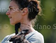  S5 9581 : Campionati Italiani 2013, Cattolica, Horse Riviera Resort, foto di Stefano Secchi ©