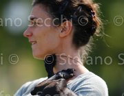  S5 9582 : Campionati Italiani 2013, Cattolica, Horse Riviera Resort, foto di Stefano Secchi ©