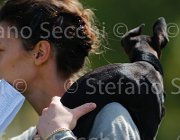  S5 9626 : Campionati Italiani 2013, Cattolica, Horse Riviera Resort, foto di Stefano Secchi ©