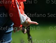 S5 9822 : Campionati Italiani 2013, Cattolica, Horse Riviera Resort, foto di Stefano Secchi ©