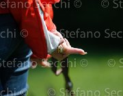  S5 9823 : Campionati Italiani 2013, Cattolica, Horse Riviera Resort, foto di Stefano Secchi ©