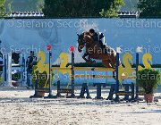 Ambrosetti Donathilla Giovanili2013  S5 5293 : Ambrosetti Melissa, Arezzo Equestrian Centre, Donathilla, foto di Stefano Secchi ©. Campionati Italiani Giovanili 2013
