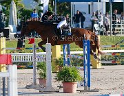 Ambrosetti Donathilla Giovanili2013  S5 5296 : Ambrosetti Melissa, Arezzo Equestrian Centre, Donathilla, foto di Stefano Secchi ©. Campionati Italiani Giovanili 2013
