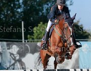 Avallone Golden Giovanili2013  S5 5371 : Arezzo Equestrian Centre, Avallone Ilaria, Golden, foto di Stefano Secchi ©. Campionati Italiani Giovanili 2013