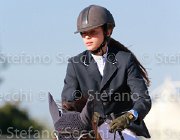 Avallone Golden Giovanili2013  S5 5372 : Arezzo Equestrian Centre, Avallone Ilaria, Golden, foto di Stefano Secchi ©. Campionati Italiani Giovanili 2013