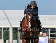 Avallone Golden Giovanili2013  S5 5376 : Arezzo Equestrian Centre, Avallone Ilaria, Golden, foto di Stefano Secchi ©. Campionati Italiani Giovanili 2013
