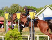 Avallone Golden Giovanili2013  S5 5378 : Arezzo Equestrian Centre, Avallone Ilaria, Golden, foto di Stefano Secchi ©. Campionati Italiani Giovanili 2013