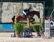 Avallone Golden Giovanili2013  S5 5634 : Arezzo Equestrian Centre, Avallone Ilaria, Golden, foto di Stefano Secchi ©. Campionati Italiani Giovanili 2013