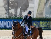 Avallone Golden Giovanili2013  S5 5639 : Arezzo Equestrian Centre, Avallone Ilaria, Golden, foto di Stefano Secchi ©. Campionati Italiani Giovanili 2013