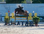 Baglietti Elitloppet Giovanili2013  S5 5250 : Arezzo Equestrian Centre, Baglietti Alessandro, Elitloppet, foto di Stefano Secchi ©. Campionati Italiani Giovanili 2013