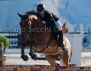 Baglietti Elitloppet Giovanili2013  S5 5254 : Arezzo Equestrian Centre, Baglietti Alessandro, Elitloppet, foto di Stefano Secchi ©. Campionati Italiani Giovanili 2013
