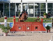Baglietti Elitloppet Giovanili2013  S5 5494 : Arezzo Equestrian Centre, Baglietti Alessandro, Elitloppet, foto di Stefano Secchi ©. Campionati Italiani Giovanili 2013