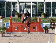 Baglietti Elitloppet Giovanili2013  S5 5496 : Arezzo Equestrian Centre, Baglietti Alessandro, Elitloppet, foto di Stefano Secchi ©. Campionati Italiani Giovanili 2013