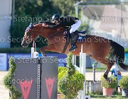 Baglietti Elitloppet Giovanili2013  S5 5499 : Arezzo Equestrian Centre, Baglietti Alessandro, Elitloppet, foto di Stefano Secchi ©. Campionati Italiani Giovanili 2013