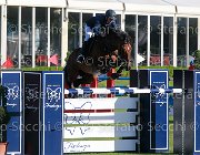 baldazzi Diablo Giovanili2013  S5 5213 : Arezzo Equestrian Centre, Diablo, baldazzi Elisa, foto di Stefano Secchi ©. Campionati Italiani Giovanili 2013