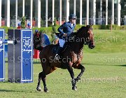 baldazzi Diablo Giovanili2013  S5 5214 : Arezzo Equestrian Centre, Diablo, baldazzi Elisa, foto di Stefano Secchi ©. Campionati Italiani Giovanili 2013