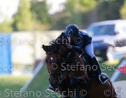 baldazzi Diablo Giovanili2013  S5 5218 : Arezzo Equestrian Centre, Diablo, baldazzi Elisa, foto di Stefano Secchi ©. Campionati Italiani Giovanili 2013