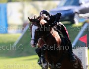 BOLOGNI CHOPIN Giovanili2013  S5 5113 : Arezzo Equestrian Centre, BOLOGNI Filippo, CHOPIN, foto di Stefano Secchi ©. Campionati Italiani Giovanili 2013