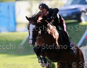 BOLOGNI CHOPIN Giovanili2013  S5 5114 : Arezzo Equestrian Centre, BOLOGNI Filippo, CHOPIN, foto di Stefano Secchi ©. Campionati Italiani Giovanili 2013