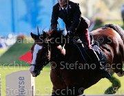 BOLOGNI CHOPIN Giovanili2013  S5 5115 : Arezzo Equestrian Centre, BOLOGNI Filippo, CHOPIN, foto di Stefano Secchi ©. Campionati Italiani Giovanili 2013