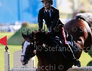 BOLOGNI CHOPIN Giovanili2013  S5 5116 : Arezzo Equestrian Centre, BOLOGNI Filippo, CHOPIN, foto di Stefano Secchi ©. Campionati Italiani Giovanili 2013