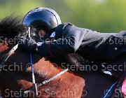 BOLOGNI CHOPIN Giovanili2013  S5 5119 : Arezzo Equestrian Centre, BOLOGNI Filippo, CHOPIN, foto di Stefano Secchi ©. Campionati Italiani Giovanili 2013