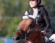 Bonifazi Beezie Giovanili2013  S5 5342 : Arezzo Equestrian Centre, Beezie, Bonifazi Alessandra, foto di Stefano Secchi ©. Campionati Italiani Giovanili 2013