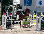 Bonifazi Beezie Giovanili2013  S5 5598 : Arezzo Equestrian Centre, Beezie, Bonifazi Alessandra, foto di Stefano Secchi ©. Campionati Italiani Giovanili 2013