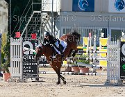 Bonifazi Beezie Giovanili2013  S5 5601 : Arezzo Equestrian Centre, Beezie, Bonifazi Alessandra, foto di Stefano Secchi ©. Campionati Italiani Giovanili 2013