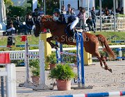 Bosio Zadiela Giovanili2013  S5 5266 : Arezzo Equestrian Centre, Bosio Camilla, Zadiela, foto di Stefano Secchi ©. Campionati Italiani Giovanili 2013