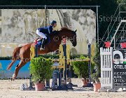 Bosio Zadiela Giovanili2013  S5 5503 : Arezzo Equestrian Centre, Bosio Camilla, Zadiela, foto di Stefano Secchi ©. Campionati Italiani Giovanili 2013