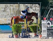 Bosio Zadiela Giovanili2013  S5 5504 : Arezzo Equestrian Centre, Bosio Camilla, Zadiela, foto di Stefano Secchi ©. Campionati Italiani Giovanili 2013